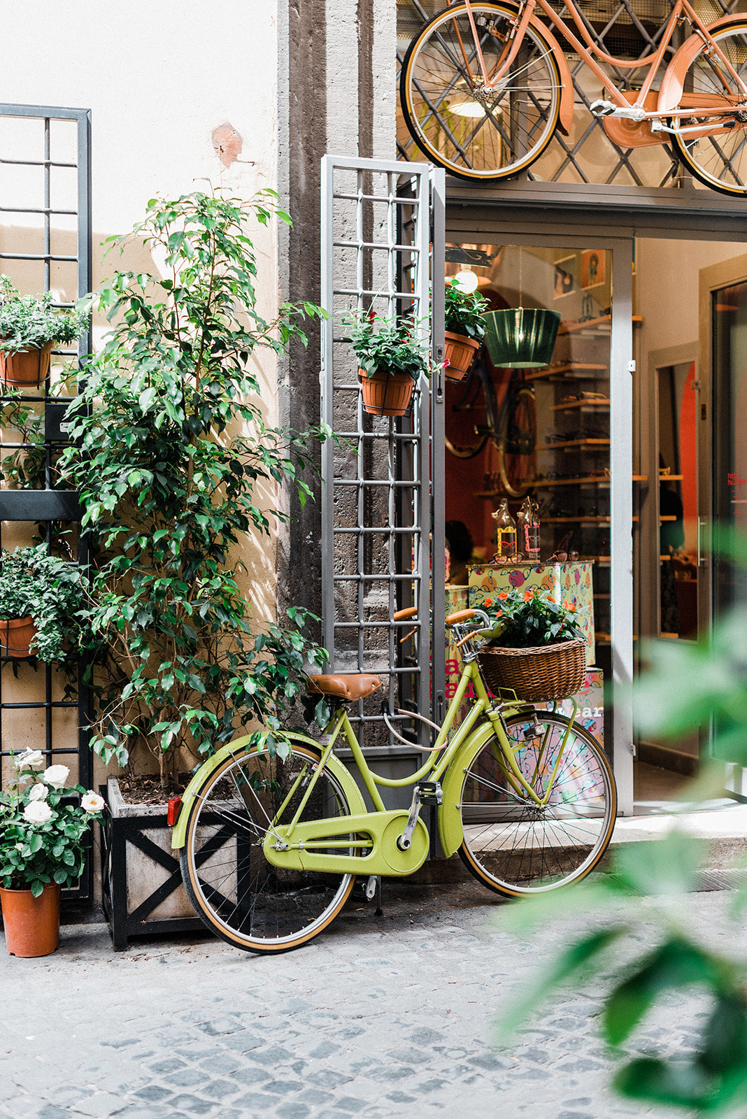 vintage cycle outside a shop with plants around it